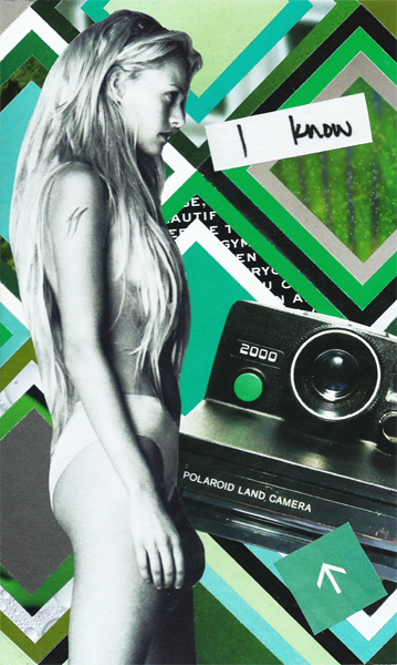 Camera Doesn't Lie | The Collage Art of Joel Lambeth